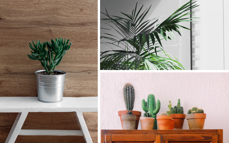 Frische Blumen sind wieder im Trend